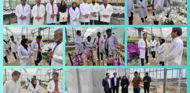 فرماندار سیاهکل از واحد تولیدی نداگستر میلاد بازدید کرد