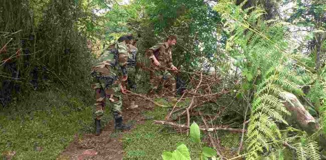 رفع تصرف  ۶۳ هزارمترمربع از اراضی ملی ، جنگلی و ساحلی در شهرستان لنگرود در ۵ ماهه اول سال  ۱۴۰۴