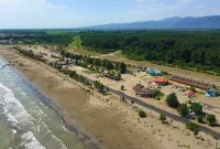 کاشت درخت در ۸۲ هکتار از سواحل گیلان