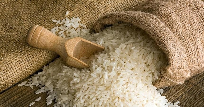 حفظ کیفیت ارقام محلی با ایجاد زنجیره تولید برنج