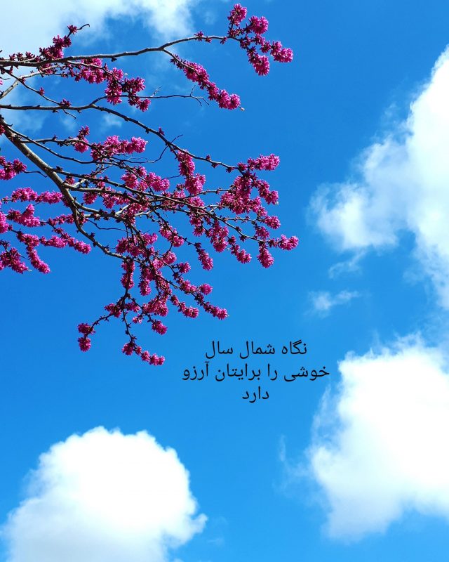 بهار ، بیش از آنکه حادثه ای در طبیعت باشد ، حادثه ایست در قلب آدمی . و پیش از آنکه در طبیعت ، محسوس باشد ، در حسی انسانی وقوع می یابد  ❤ در بهاران این گل نیست که شکوفا می شود ، گره های روح انسان است