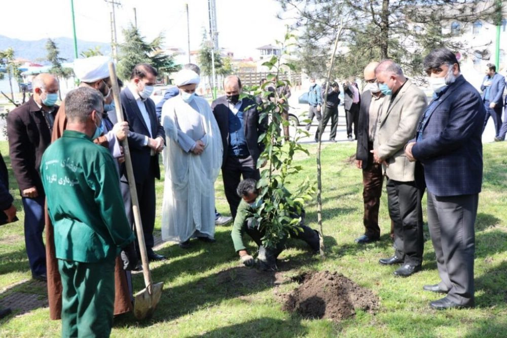 غرس ۵۰ اصله نهال در پارک فجر لنگرود