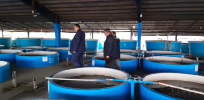 بازدید مدیر کل شیلات گیلان از مراکز اختصاصی بازسازی ذخایر خاویاری در رشت و سیاهکل 