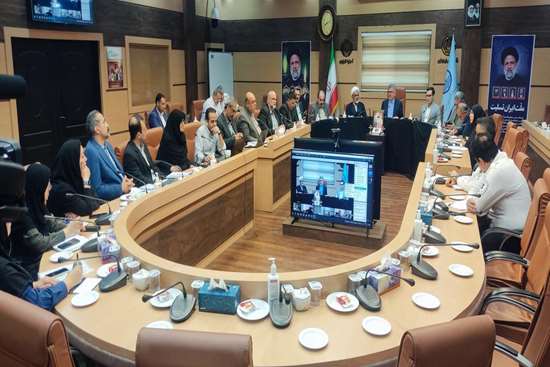 رئیس دانشگاه علوم پزشکی گیلان : شناسایی یک مورد ابتلا به بیماری های ناشی از نیش پشه آئدس در گیلان؛ موارد بهداشتی جدی گرفته شود