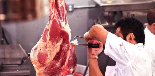 صالح محمدی رئیس سازمان جهاد کشاورزی گیلان از افزایش تولید گوشت قرمز در گیلان خبر داد