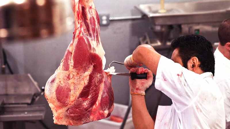 صالح محمدی رئیس سازمان جهاد کشاورزی گیلان از افزایش تولید گوشت قرمز در گیلان خبر داد