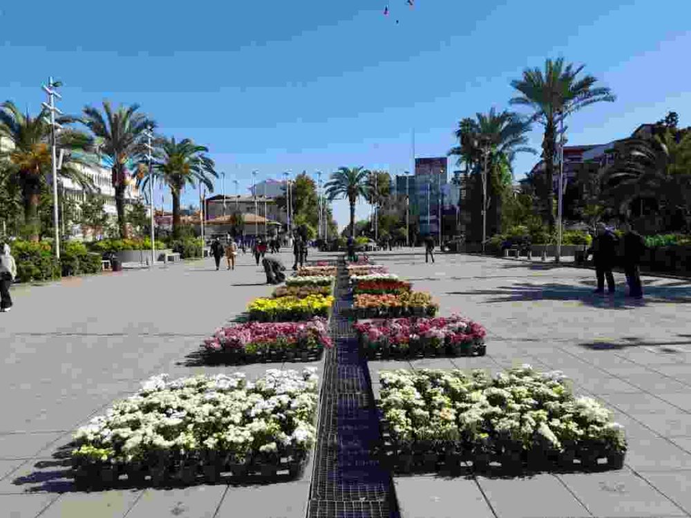 علیرضا حسنی: گل آرایی پیاده راه فرهنگی رشت با هدف زیبایی سیما و منظر شهری