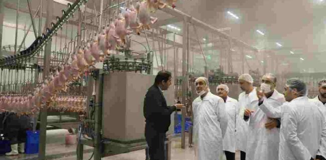 عزم جزم استانداری گیلان در حمایت از سرمایه گذاران