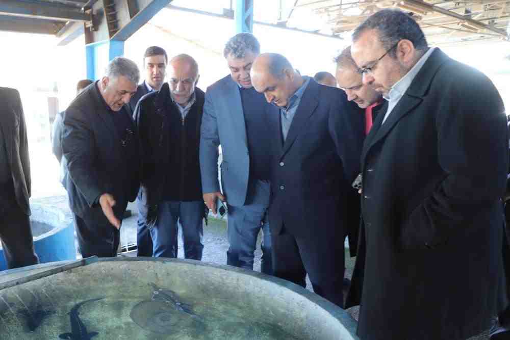 استاندار گیلان و نماینده ویژه رئیس جمهور:  زیرساخت های مورد نیاز اقتصاد دریا محور در گیلان توسعه می یابند