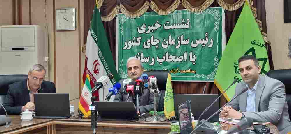 دو هزار هکتار از باغات رها شده چای  در گیلان احیا شد