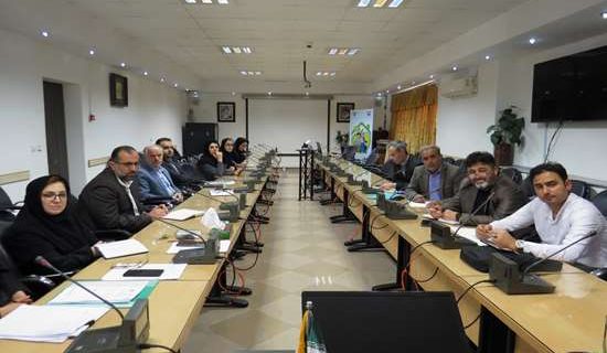در راستای رفع مسائل بهورزان تشکیل شد؛ نشست معاون بهداشتی دانشگاه با نمایندگان بهورزان