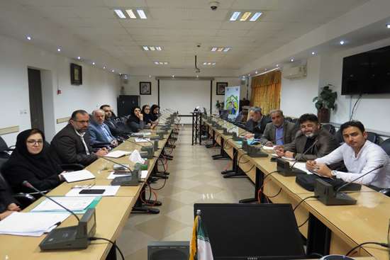 در راستای رفع مسائل بهورزان تشکیل شد؛ نشست معاون بهداشتی دانشگاه با نمایندگان بهورزان