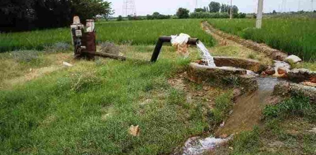 معاون هماهنگی توزیع توانیر تاکید کرد:  برق چاه‌های کشاورزی در چارچوب پروانه بهره‌برداری آب به طور کامل تامین می‌شود