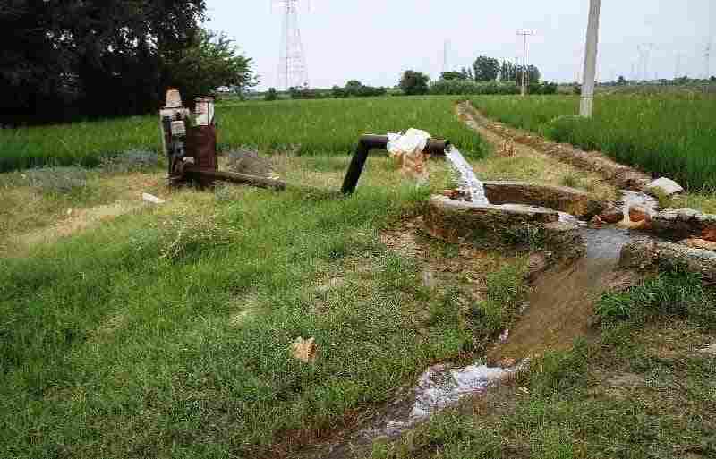 معاون هماهنگی توزیع توانیر تاکید کرد:  برق چاه‌های کشاورزی در چارچوب پروانه بهره‌برداری آب به طور کامل تامین می‌شود