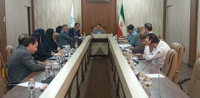 نخستین نشست تخصصی کمیسیون استانی استاندارد در حوزه امنیت غذایی، تغذیه و ایمنی غذا در گیلان برگزار شد