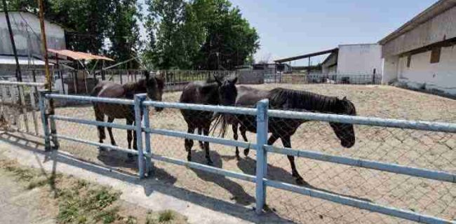 بازدید مدیرکل استاندارد از دستاوردهای علمی مرکز تحقیقات کشاورزی و منابع طبیعی استان 