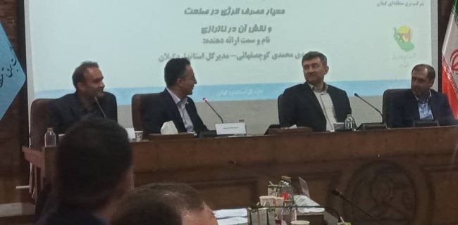 بهره‌وری پایین صنعت برق؛ چالش ملی، راهکار استانی