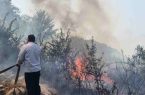 آتش‌سوزی در ۸ نقطه از باغات لنگرود