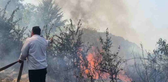 آتش‌سوزی در ۸ نقطه از باغات لنگرود