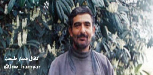 دیدار با خانواده جنگلبان تالشی شهید رشید غفاری