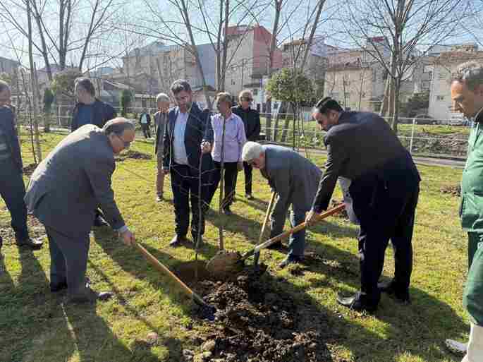 غرس ۱۰ هزار اصله درخت بومی برای نخستین بار در سطح رشت