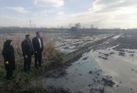 انجام شخم زمستانه بیش از نیمی از شالیزارهای شهرستان رودسر