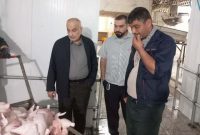 برخورد قاطع با سوء استفاده گران زنجیره کشتار مرغ در گیلان