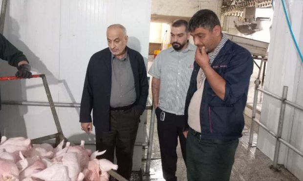 برخورد قاطع با سوء استفاده گران زنجیره کشتار مرغ در گیلان برخورد قاطع با سوء استفاده گران زنجیره کشتار مرغ در گیلان