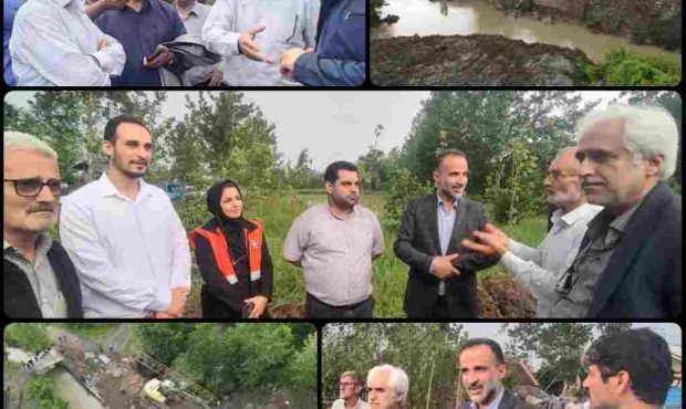نجات ۱۰۰۰ هکتار از شالیزارهای «کیسم در آستانه اشرفیه نجات ۱۰۰۰ هکتار از شالیزارهای «کیسم در آستانه اشرفیه